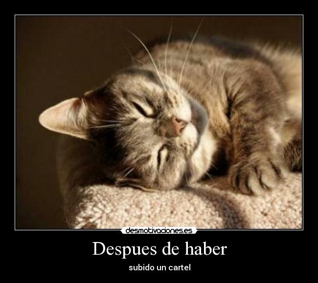 Despues de haber - subido un cartel