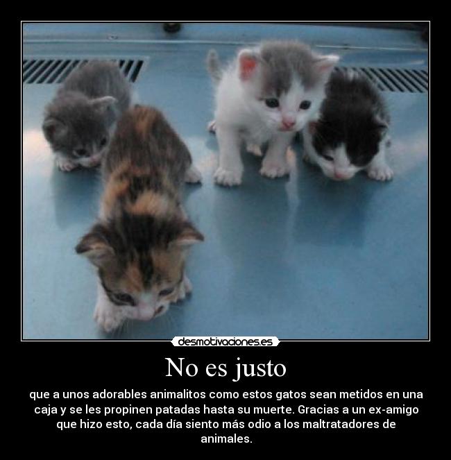 No es justo -