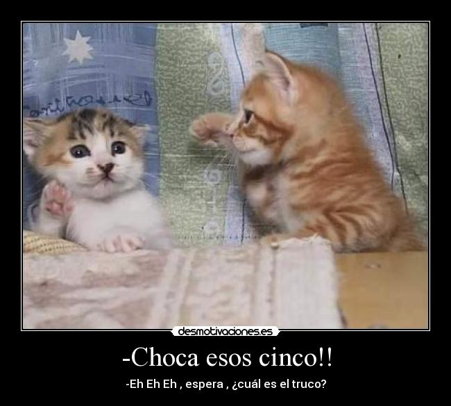 -Choca esos cinco!! -