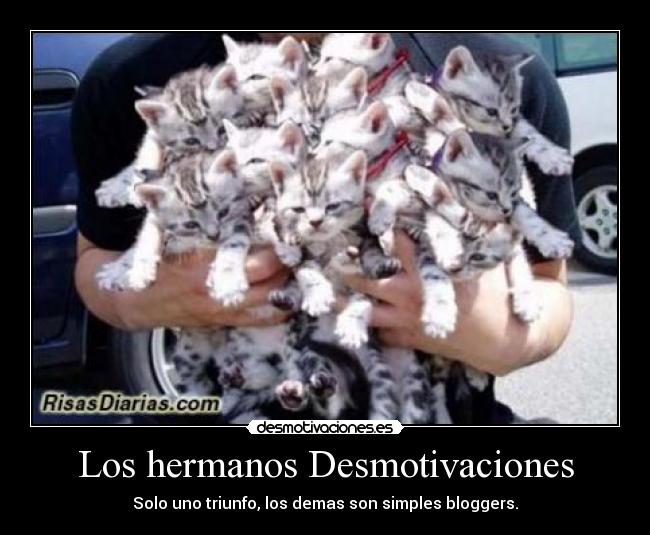 Los hermanos Desmotivaciones - Solo uno triunfo, los demas son simples bloggers.