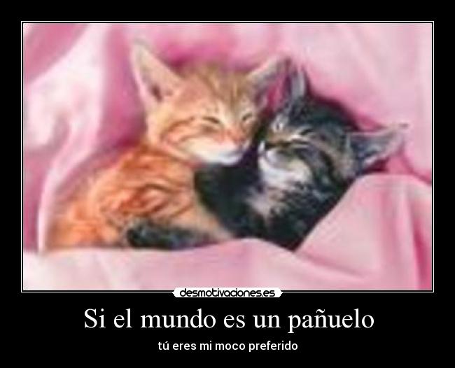 Si el mundo es un pañuelo -