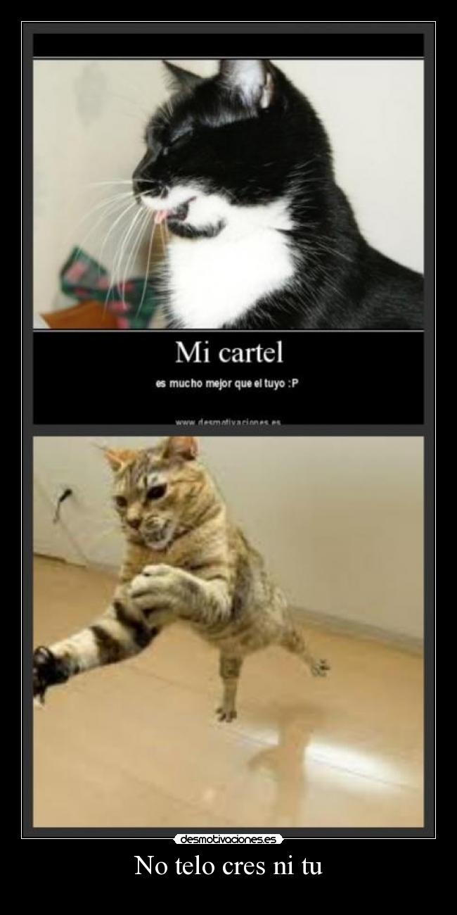 No telo cres ni tu - 