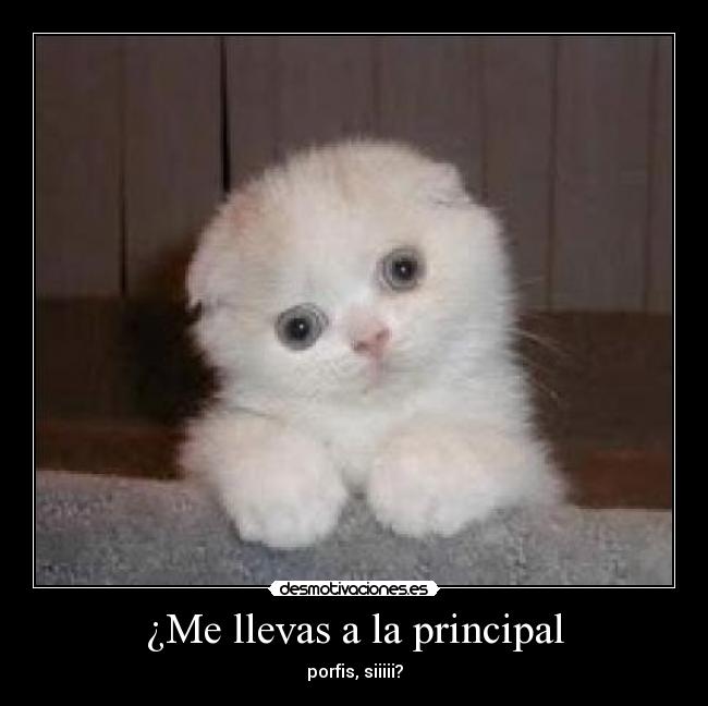 ¿Me llevas a la principal -