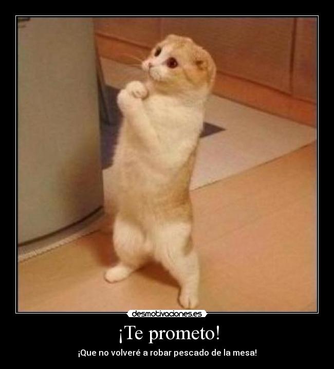 ¡Te prometo! - 