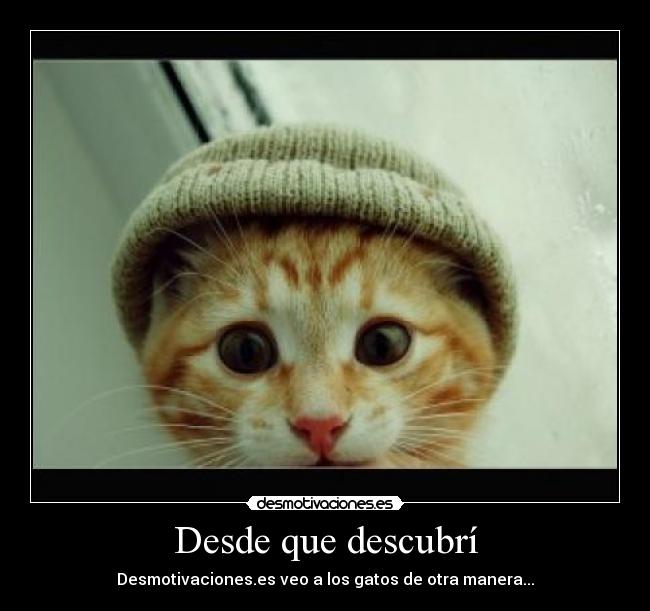 Desde que descubrí -