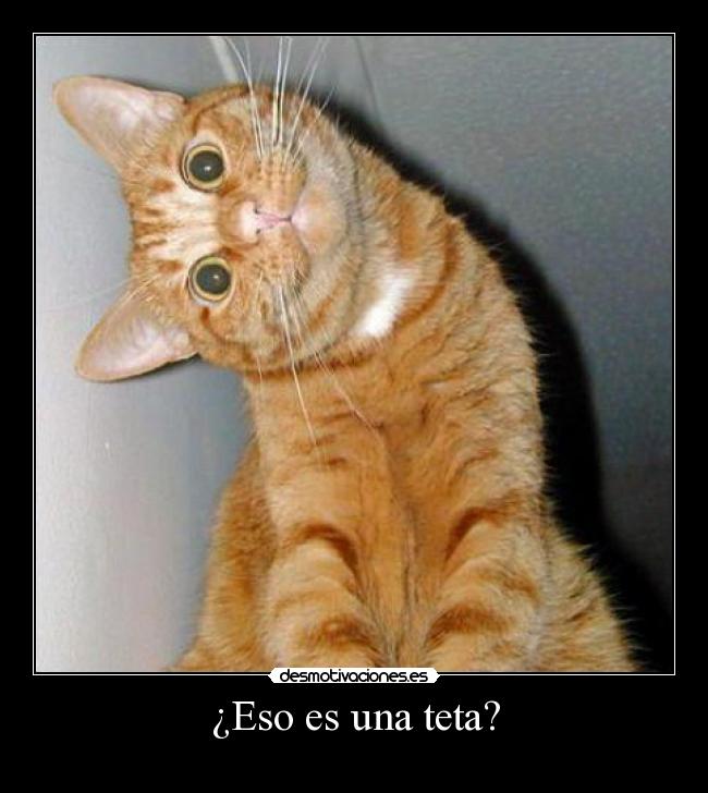 ¿Eso es una teta? -