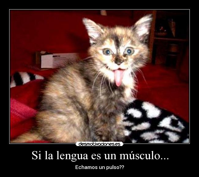 Si la lengua es un músculo... -