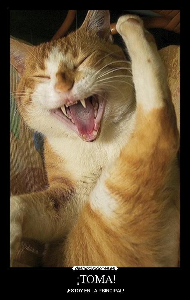¡TOMA! -