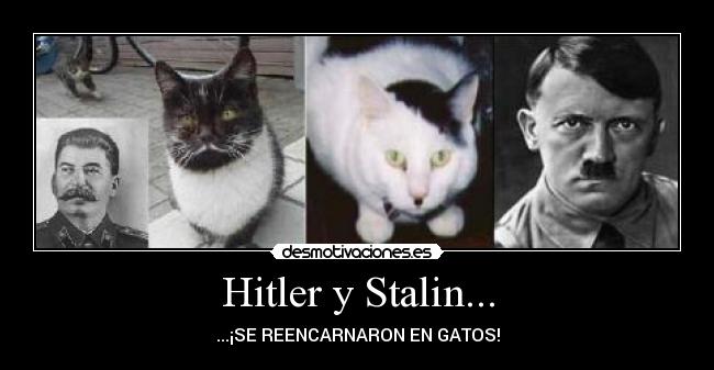 Hitler y Stalin... -