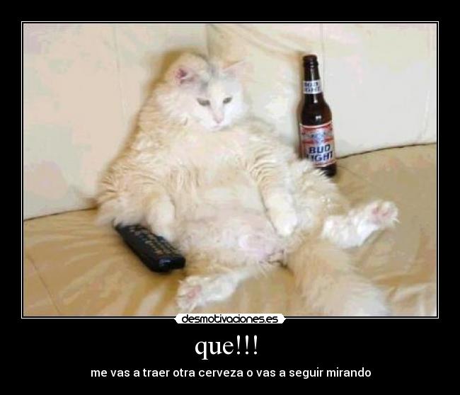 que!!! - me vas a traer otra cerveza o vas a seguir mirando