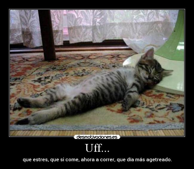 carteles uff dia agetreado correr come estres gato trabajo vacaciones desmotivaciones