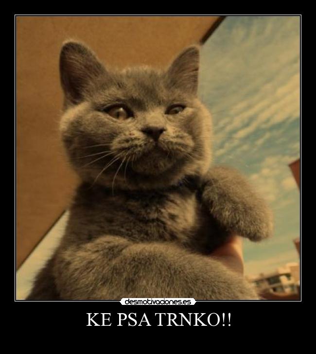 KE PSA TRNKO!! -