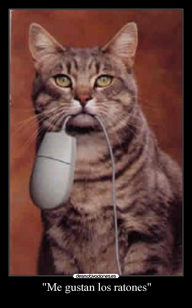 Me gustan los ratones -