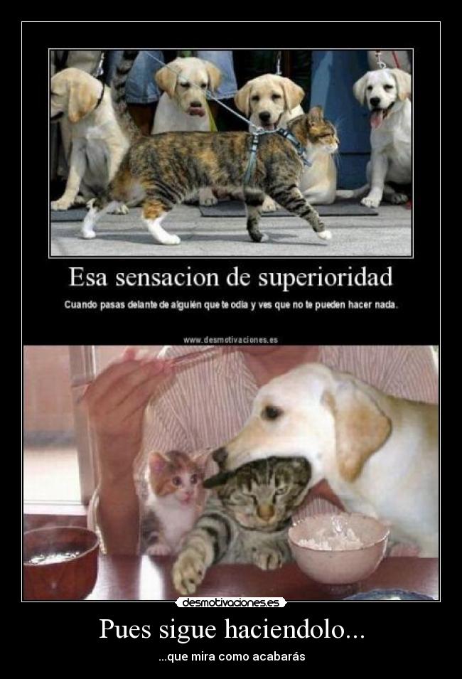 Pues sigue haciendolo... - ...que mira como acabarás