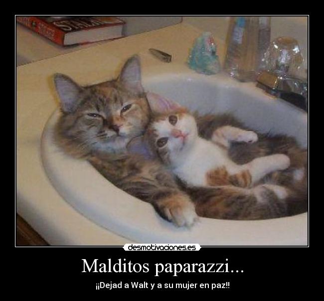 Malditos paparazzi... -