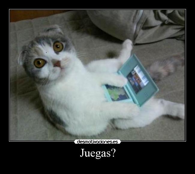 Juegas? -