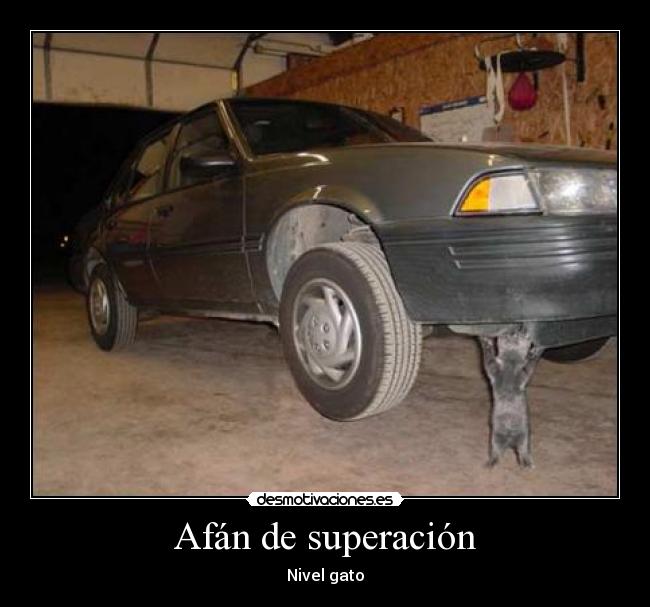 Afán de superación -
