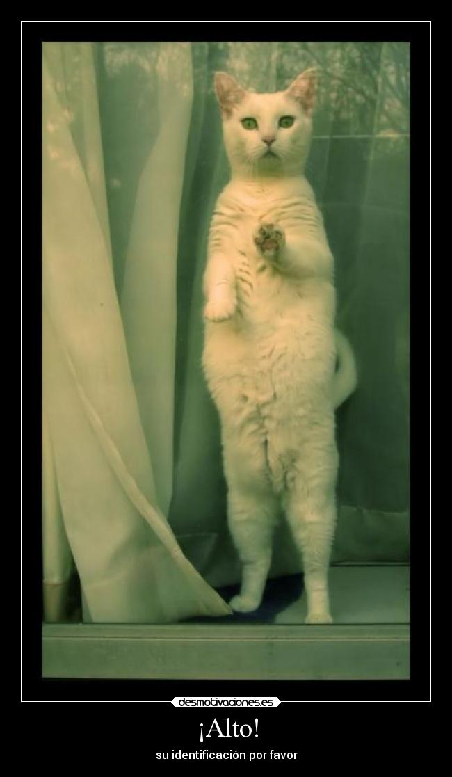 ¡Alto! - su identificación por favor