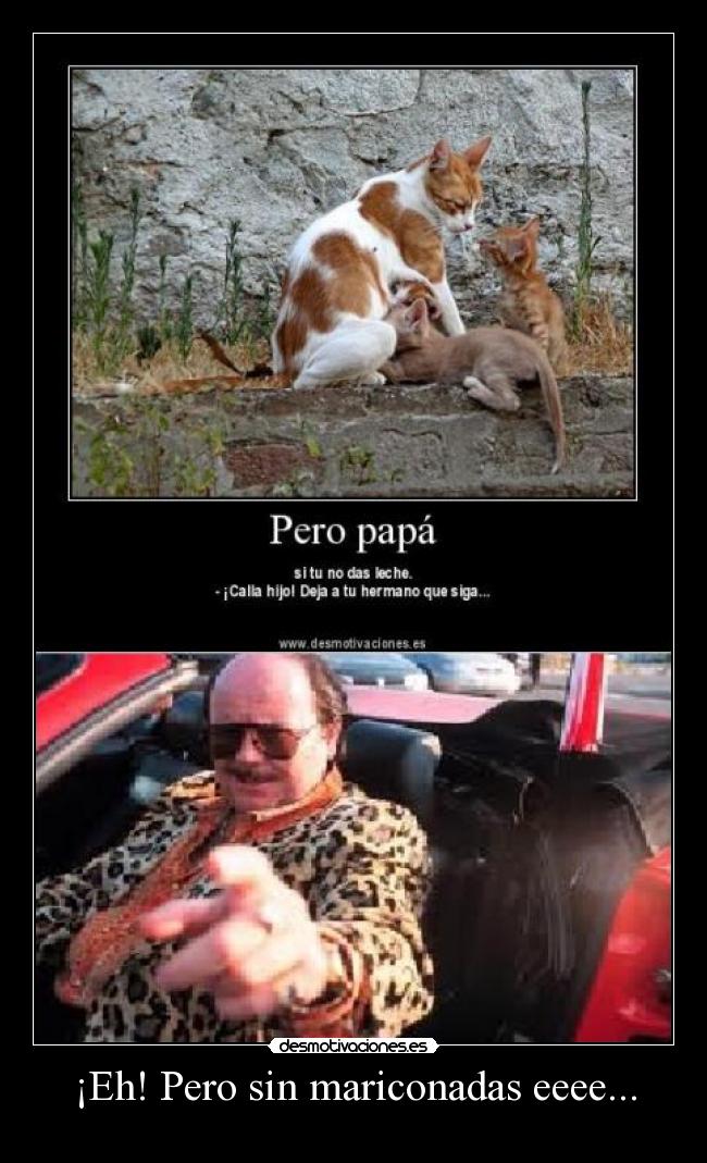 ¡Eh! Pero sin mariconadas eeee... -