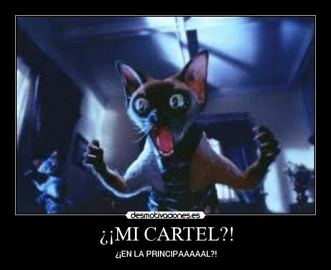 ¿¡MI CARTEL?! -