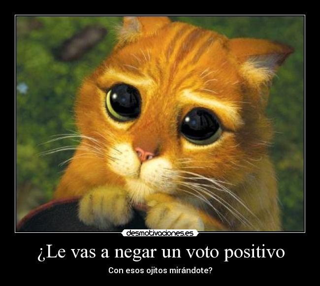 ¿Le vas a negar un voto positivo -