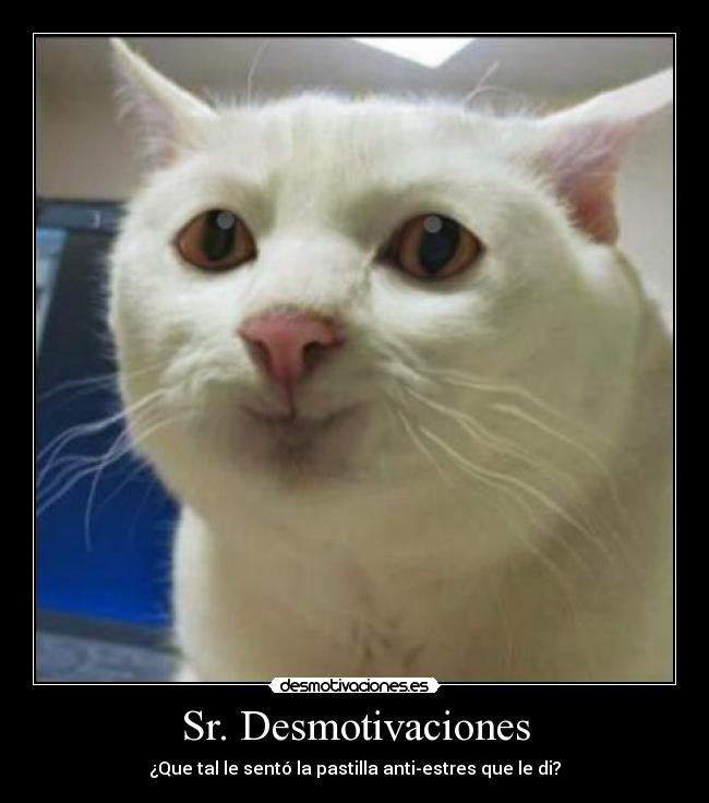 Sr. Desmotivaciones - 