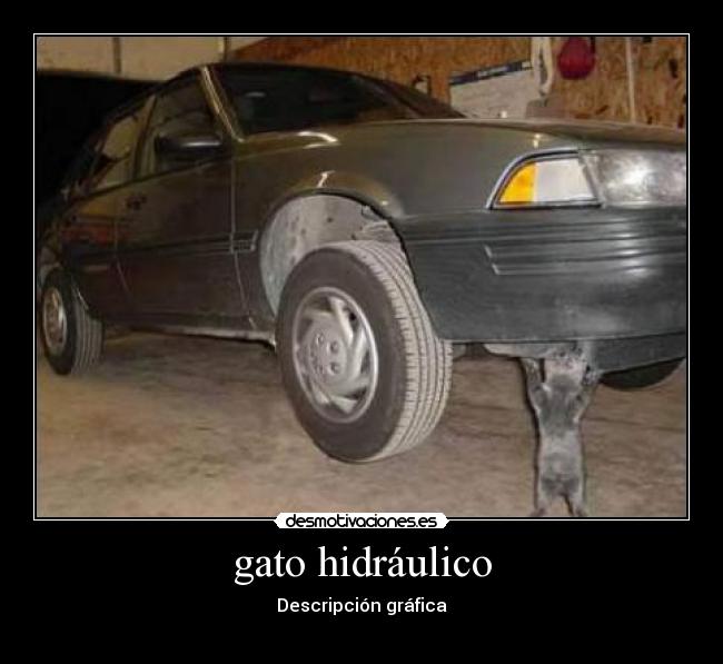 gato hidráulico -