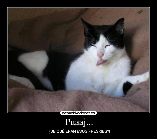 Puaaj... - ¡¿DE QUÉ ERAN ESOS FRESKIES?!