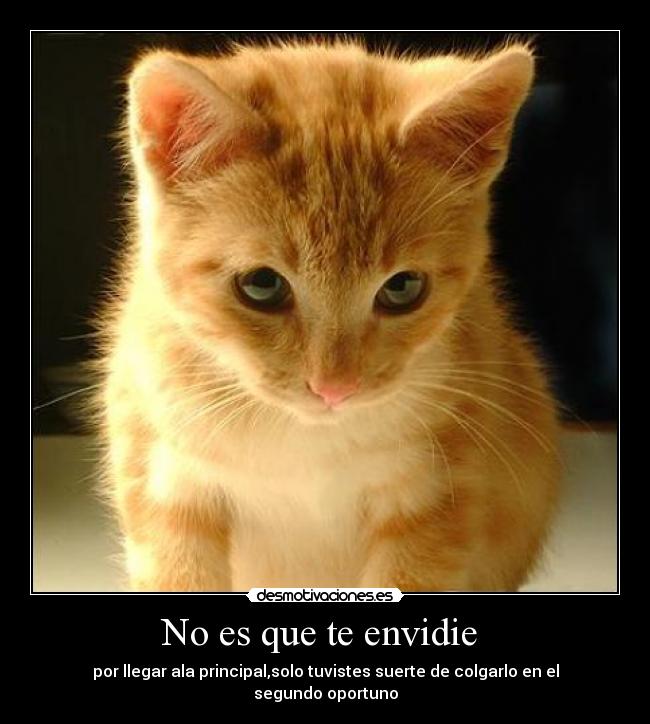 No es que te envidie  - 