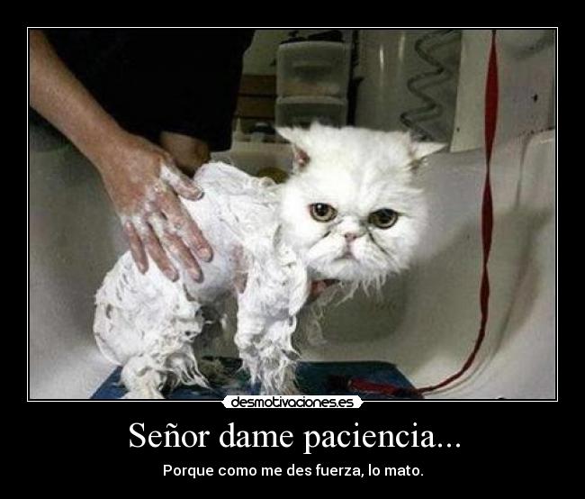 Señor dame paciencia... - Porque como me des fuerza, lo mato.