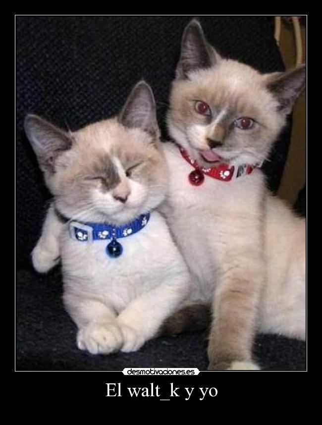 El walt_k y yo -
