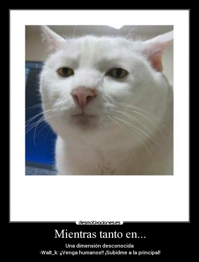 Mientras tanto en... - Una dimensión desconocida
-Walt_k: ¡¡Venga humanos!! ¡Subidme a la principal!