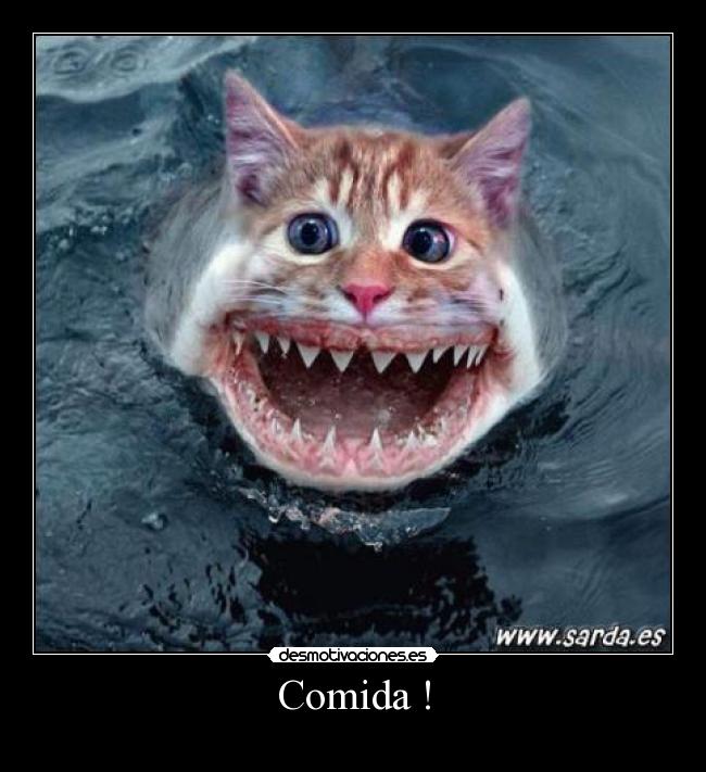 carteles comida comida desmotivaciones