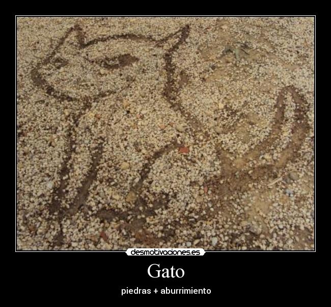 Gato - piedras + aburrimiento