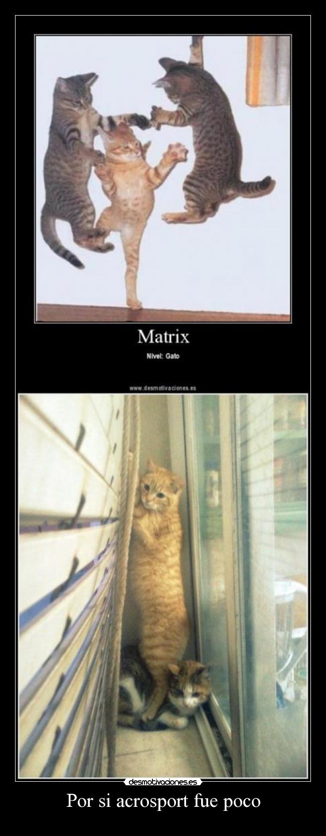 Por si acrosport fue poco -