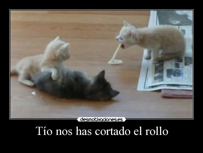 carteles wimpa gatito desmotivaciones