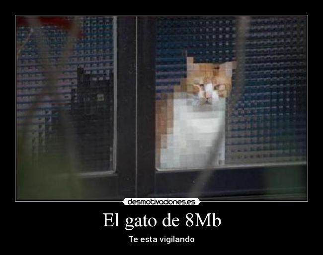 El gato de 8Mb - 