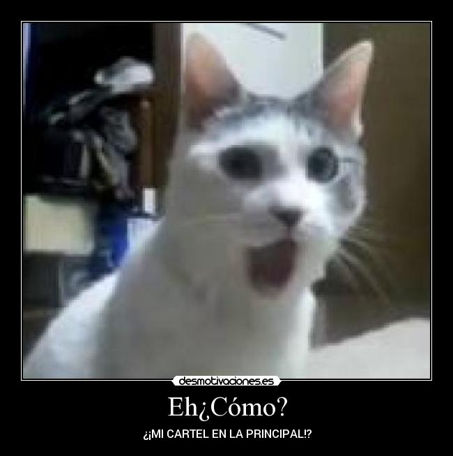 Eh¿Cómo? - ¿¡MI CARTEL EN LA PRINCIPAL!?