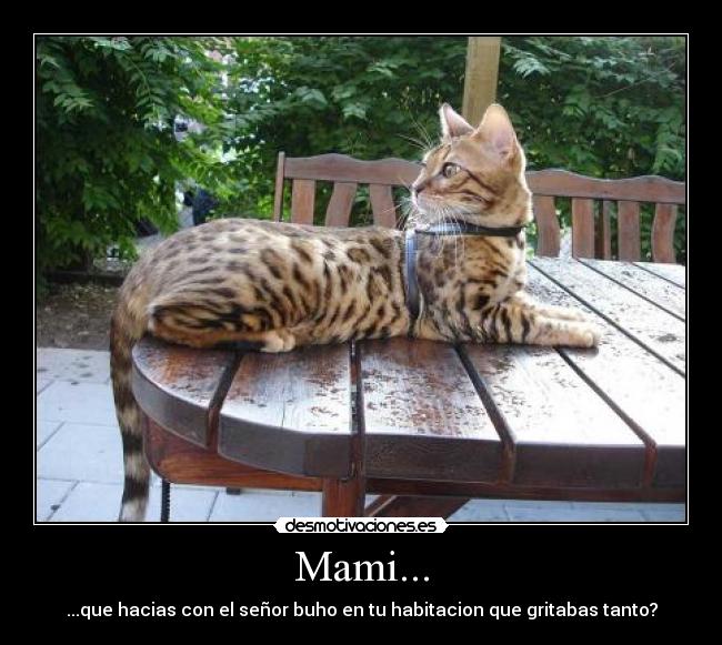 Mami... - ...que hacias con el señor buho en tu habitacion que gritabas tanto?