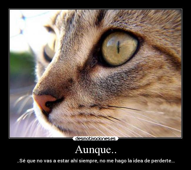 Aunque.. -