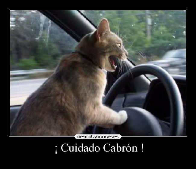 ¡ Cuidado Cabrón ! -