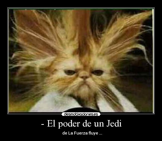 - El poder de un Jedi - de La Fuerza fluye ...