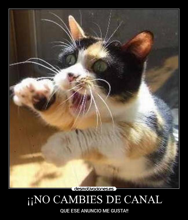 ¡¡NO CAMBIES DE CANAL - QUE ESE ANUNCIO ME GUSTA!!