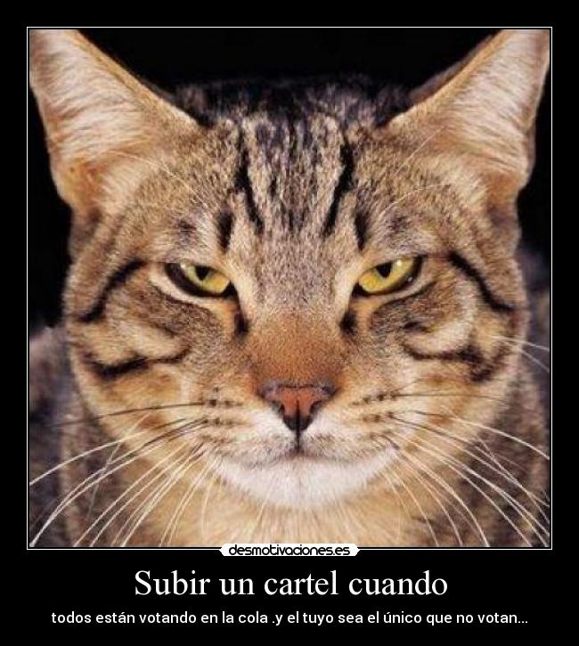 Subir un cartel cuando - 