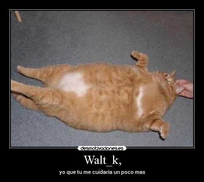 Walt_k, - 