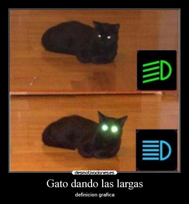 Gato dando las largas -