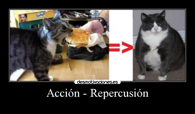 Acción - Repercusión -
