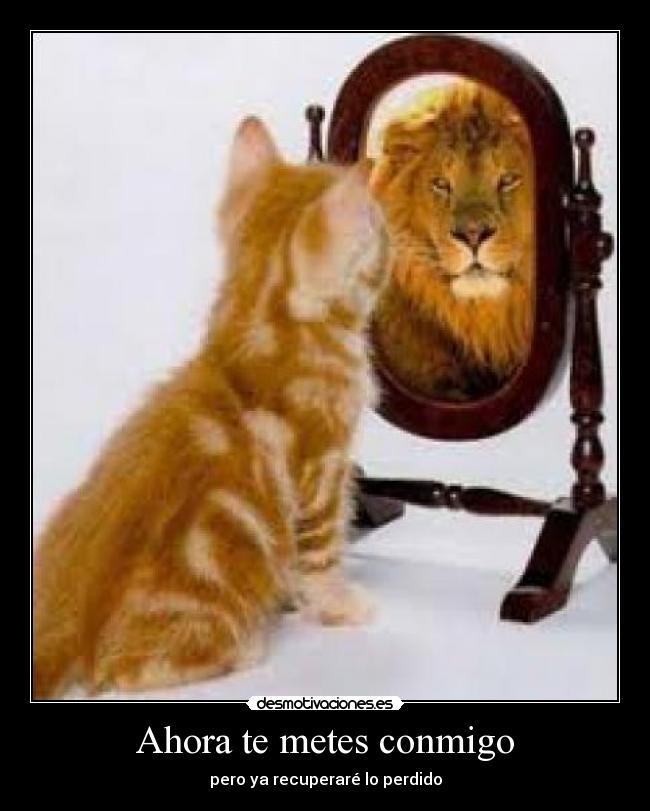 Ahora te metes conmigo -