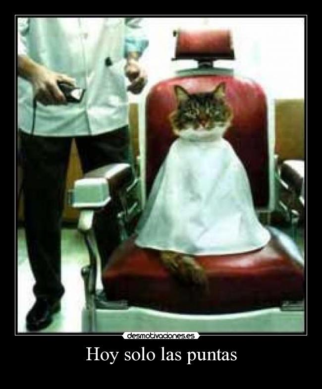 carteles hoy puntas desmotivaciones