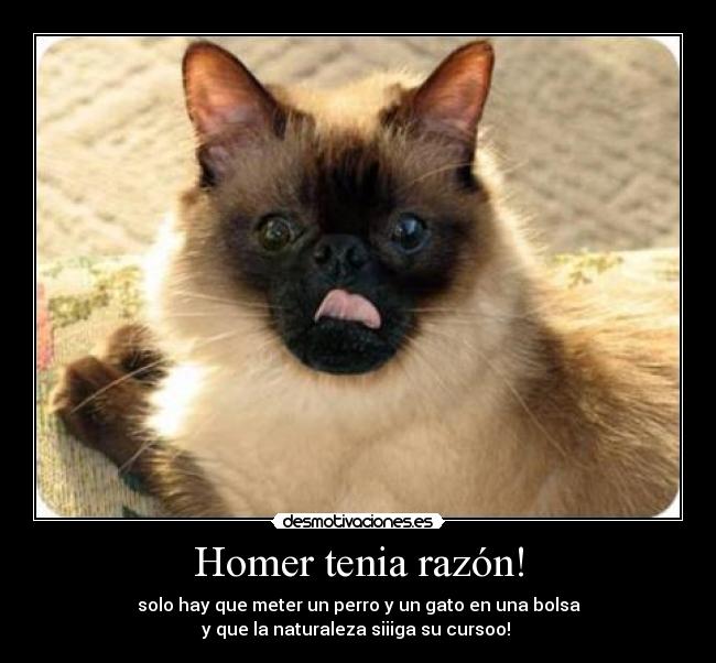 Homer tenia razón! -